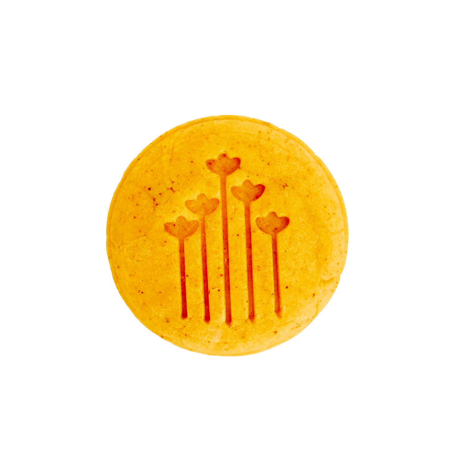 Shampoo Sólido Hidratante Avena Caléndula Miel